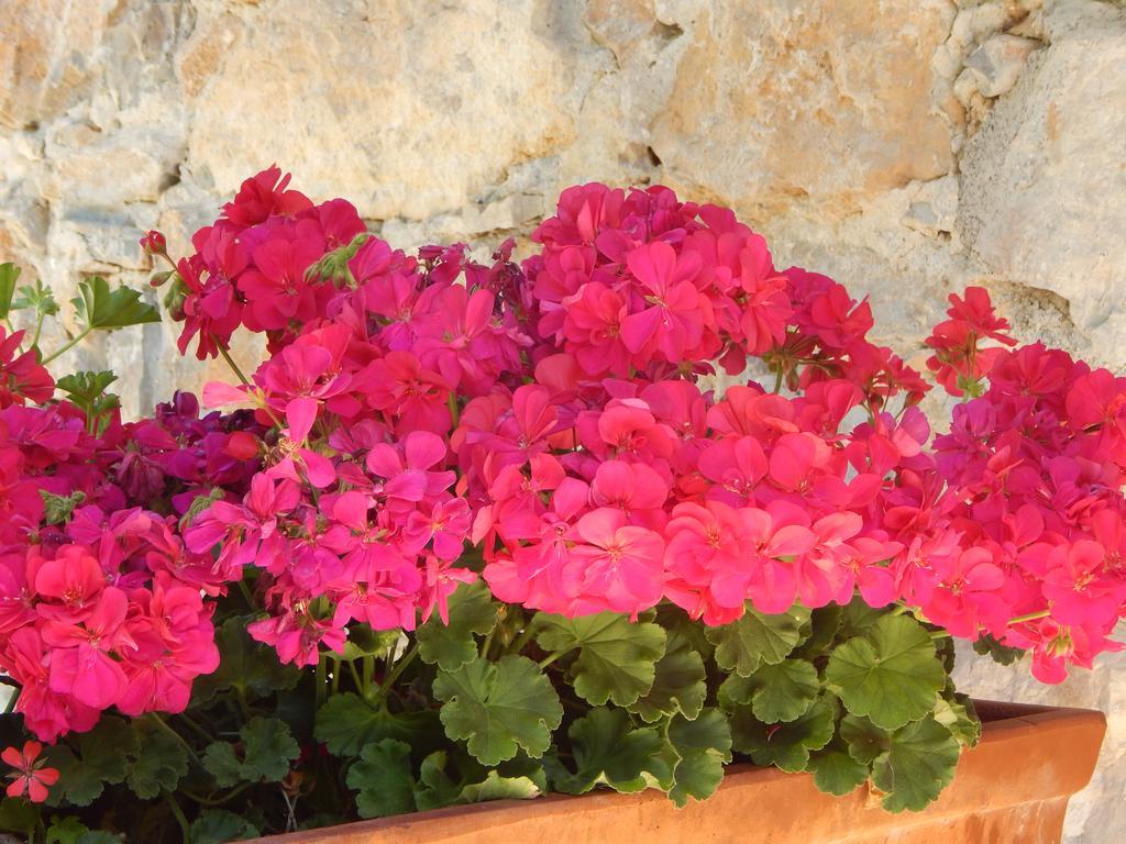 I Lecci Bed & Breakfast Lerici Luaran gambar